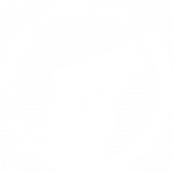 Schwarzer-Wulff